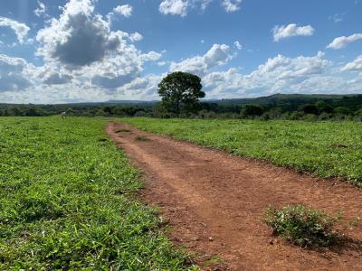 FAZENDA NA REGIÃO DE SETE LAGOAS | APROX. 36 HECTARES | ÓTIMA LOCALIZAÇÃO E ACESSO | TOPOGRAFIA PRIVILEGIADA